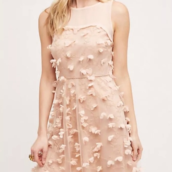 Anthropologie Dresses & Skirts - Anthro Eva Franco Flutter Fleur Tulle Floral Dress